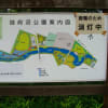 埼玉県熊谷市　「別府沼公園」　花菖蒲園