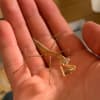 ~3ヶ月の苦労と感動~ 幼虫からのカマキリ育成記録