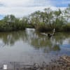 秋の佐鳴湖(その1・西岸)