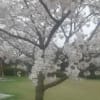 西の久保公園
