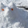雪だるまならぬ雪犬