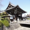 「西本願寺(龍谷山本願寺)」とイチョウ~京都市下京区堀川通花屋町下る~