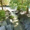 7月31日　夏の王禅寺ふるさと公園で小川を撮影