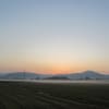 百舌鳥と霧の風景