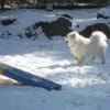 あの頃チャンネル(2010年01月17日～2010年01月23日)