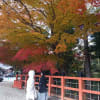 上賀茂神社の手作り市　２０１４・１１・２３