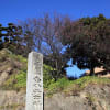 松山城の梅