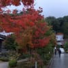 太宰府　光明禅寺　紅葉