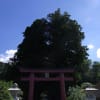 浅間神社と母の白滝
