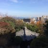 紅葉も今日で見納め