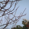 服部緑地公園までサイクリング