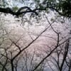 あの頃チャンネル(2009年04月05日～2009年04月11日)