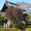 石光寺拝観