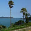 ８月［博多～鹿児島～宮崎］