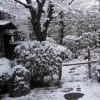 名古屋　禅隆寺
