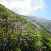 2015年8月1日　仙ノ倉山