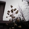 あの頃チャンネル(2014年12月04日～2014年12月06日)冬の街は