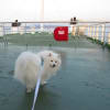 2013-02-09【九州旅行☆有明フェリー★熊本県（長洲港）～長崎県（多比良港）】