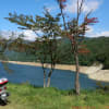 白鳥（夏スキー） ～ キャンプ ～ 白山（登山） リタイヤ