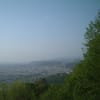全山蝉時雨　朝の連峰