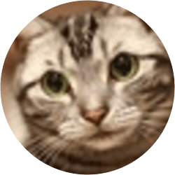 おすすめブログ 猫ブログ Goo Blog Gooブログ おすすめブログ 猫ブログ Goo Blog Gooブログ