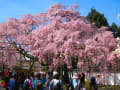 京都市の画像 