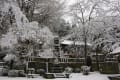 雪景色・岩殿観音から物見山へ