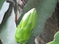 [46]DSCN4719.JPG