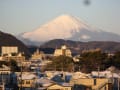 １月２日（金）７時の富士山、湘南平、箱根