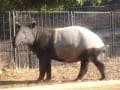 動物園チャンネル。