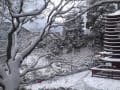 【2011.1.1雪の談山神社】 おりょうの万葉浴