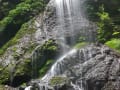 夏の那須塩原の滝