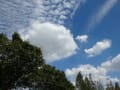 隅田川沿いを散歩・・・。青空と雲～