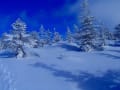 森吉山雪景色