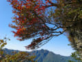 ２０１３年寒風山の紅葉の始まり