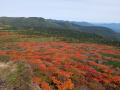 三ツ石山～大深岳　紅葉の縦走路