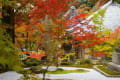 京都・奈良・湖東三山の紅葉（何年か前画像）