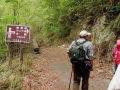 [17]登山道分岐　８：４６　