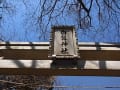 大山白鬚神社