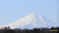 狭山丘陵から見る富士山