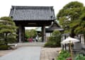 金沢八景・龍華寺　１（ボタン）