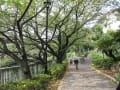 涼を求めて、椿山荘庭園～永青文庫～ 新江戸川公園（旧細川家下屋敷庭園）～関口芭蕉庵