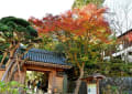 鎌倉・秋の報国寺　１