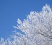 横津岳かんじき散策２０１７年２月２７日