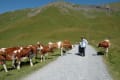 スイスの夏山ハイキング