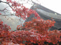 湖東三山　紅葉