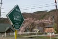 車旅４　2016　　長野県の桜