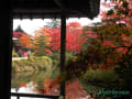 [5]20111105日光二社一寺_0051逍遥園AL.jpg