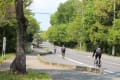 我が住む町・緑の物見山周辺