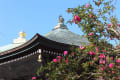 晩秋の長勝寺